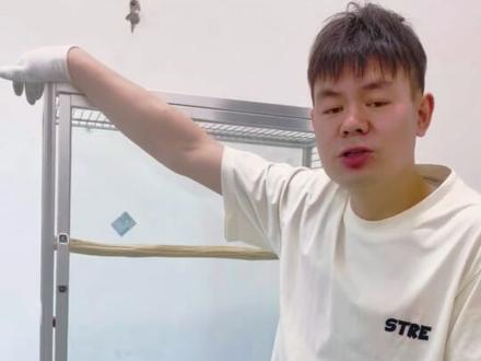 低成本手搓铝型材鸟笼你成功了吗?遇到问题找我让你少走弯路#铝型材鸟笼#手搓鹦鹉笼#鹦鹉用品#养鸟好物#宠物笼定制