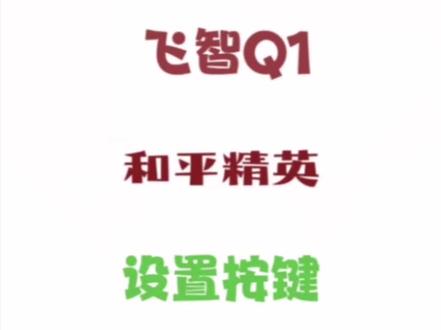 #和平精英 #游戏外设 飞智Q1设置和平精英教学
