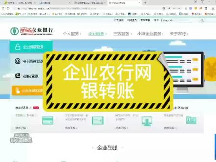 企业农行转账支付