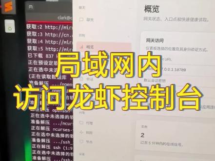 局域网内访问龙虾 #龙虾 #OpenClaw
局域网内访问龙虾