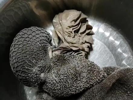 #美食分享 :青椒炒羊百叶,好吃又下饭