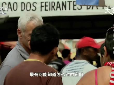 河中巨怪一电鳗(中)#河中巨怪 #杰瑞米瓦德 #钓鱼 #致我们逝去的童年 #纪录片