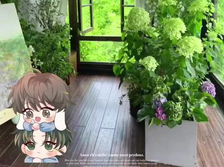 陆言:“笑死,你真的很装哎”#人鱼陷落by麟潜 #白楚年兰波 #毕揽星陆言 #原耽小说