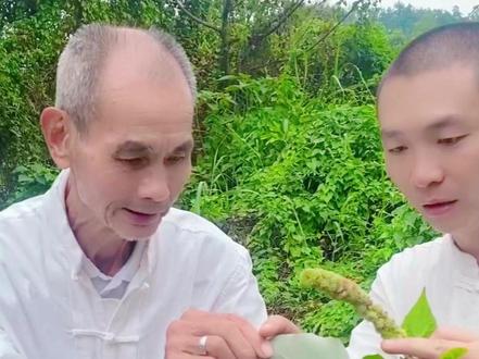 你知道什么白小娘吗? #青草 #潮汕青草 #白小娘