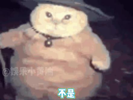 宇将军出来发现张诗尧从良了 #张诗尧 #张诗尧甜妹 #这谁顶得住啊