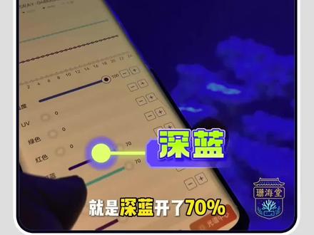 #海缸日记 海缸大神的调灯思路,不是一步到位,而是根据不同阶段调整不同灯光!#海缸灯 #珊瑚光谱