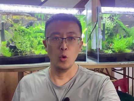 房地产中介改行做什么? #长沙 #一个敢说真话的房产人