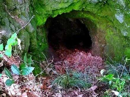 河南省固始县五尖山村,曹家寨下风洞探线!#大别山 #洞穴探险