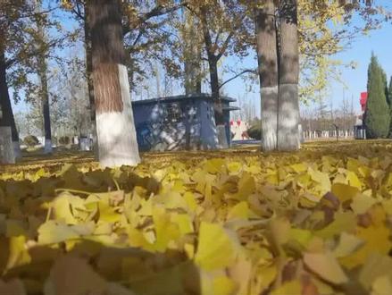 西装暴徒故事,青岛聂磊大战广东阳江许建强 完