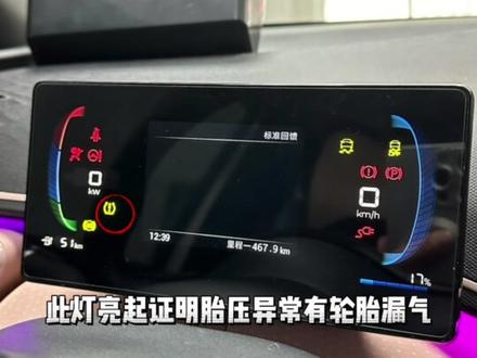 #比亚迪海鸥 #汽车知识分享 比亚迪海鸥仪表屏图标功能详细讲解,请注意安全驾驶。#支持国产 #dou是好车 @抖音小助手