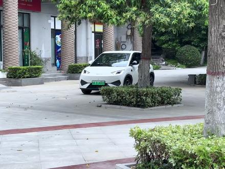 开比亚迪海鸥就一定要知道这三个必开和必关,能大大提高用车便利性#比亚迪#智驾版海鸥#用车小知识#带你懂车#厉害了我的车