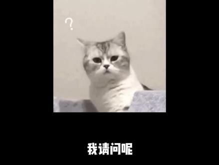 怎么就有人这么好意思卖的死贵还不足称呢!!#霞飞