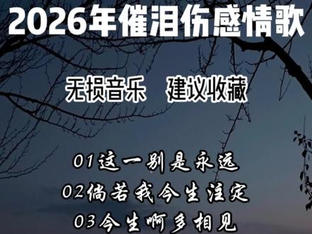 2026最火伤感催泪情歌 #短视频变现 #音乐种草计划 #热门音乐#车载音乐 #循环播放的歌曲 @DOU+小助手
