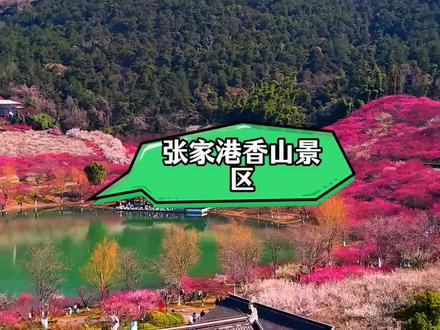 总要来一次张家港香山景区吧!#张家港香山景区 #张家港香山景区攻略 #张家港香山梅花节 #张家港香山游玩攻略 #张家港香山风景
