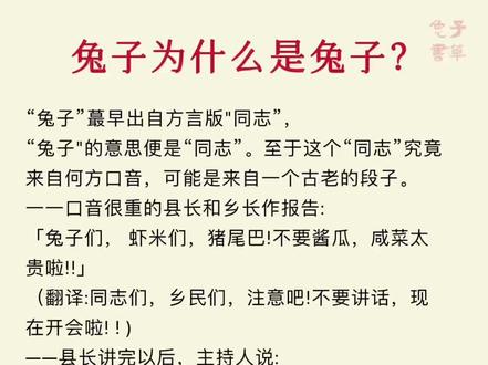 兔子名称的由来#那年那兔那些事 #五常趣事