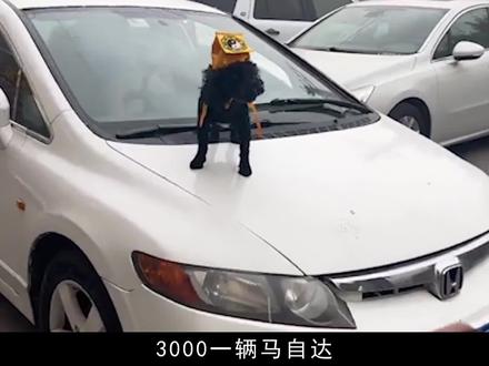 全网最硬核的销售,专卖二手魂环事故车,黑狗认证网友竟抢着买#真实影像 #历史 #奇闻 #悬疑 #人物