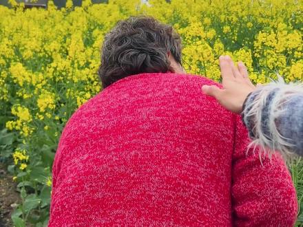 学会这4步,一辈子写植物不扣分 #小学作文 #作文技巧 #小学语文 #家长必看