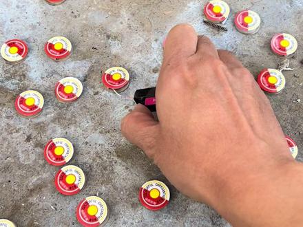 让小孩尖叫的采菊新玩法 #烟花炮竹 #采菊 #小年快乐