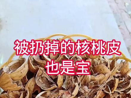 #生活小妙招,被扔掉的核桃皮也是宝用它煮水喝