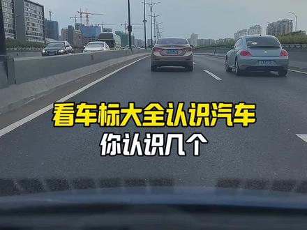 这些车标,你认识几个?#每天一个用车知识