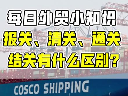 每日外贸小知识——报关、清关、通关、结关有什么区别?#每日外贸小知 #国际贸易 #跨境