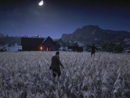 游戏里换了3个角度拍照片,每一个角度都有不同的感觉,来看看成片吧。#摄影 #游戏 #荒野大镖客2