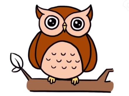 猫头鹰画法#简笔画教程 #简笔画 #创意简笔画 #启蒙早教 #幼儿教育 #可爱简笔画 #儿童简笔画 @DOU+小助手