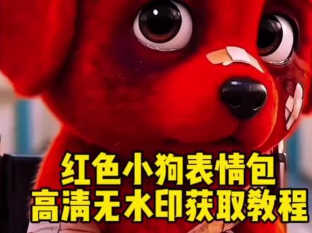 小红狗表情包全集下载入口在置顶作品#剪映 #红色小狗表情包 #坐轮椅的红色小狗 红色小狗的视频 红色小狗表情包视频 小红狗动图
红色小狗 受伤视频 红毛狗的视频 小红狗搞怪表情包视频