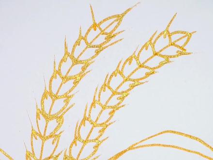 麦子这样画,简单又好看#一学就会的简笔画 @抖音小助手