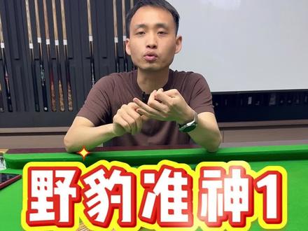 野豹准神1 强烈推荐#台球#台球是一种生活#中式八球 #野豹准神1