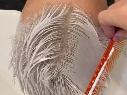 #美发人 争议性比较大的话题,听说有老师分享漂粉可以糊头皮挨骂得狗登不是#技术分享 #硬核色彩