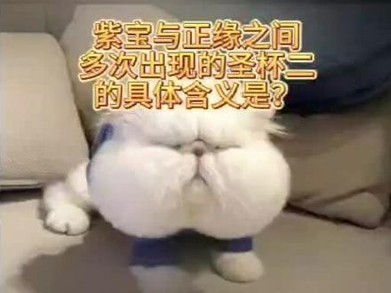 紫宝与正缘间多次出现圣杯二的具体含义是?