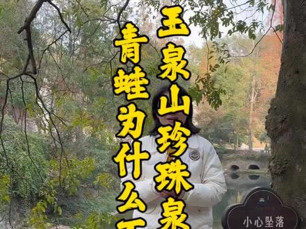 玉泉山珍珠泉里的青蛙为什么不叫#导游讲解 #湖北文旅推荐官 #寻美湖北 #信义当阳 #泉水