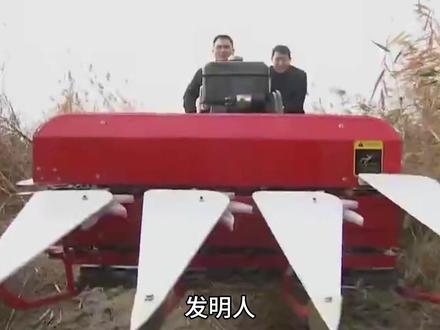 我爱发明,芦苇收割机。芦苇的噩梦 #我爱发明 #纪录片 #科普 #芦苇收割机