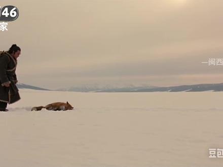 雪山救狐客家人版 #客家话 #广东 #赣州 #龙岩 #梅州