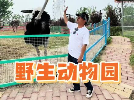 漯河野生动物园,许昌出发半个多小时,五一开园一个人只要40多,儿童20多就可以在这里玩上一整天,各种游乐设施免费玩,还能看动物剧场!#旅行推荐官 #五一去哪里玩 #漯河野生动物园 #奔跑吧乐园游玩攻略