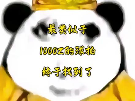 最类似1000Z的球拍给大家找到了!#羽毛球 #羽毛球拍#成弓风 #成弓碳素普惠 #羽毛球拍推荐