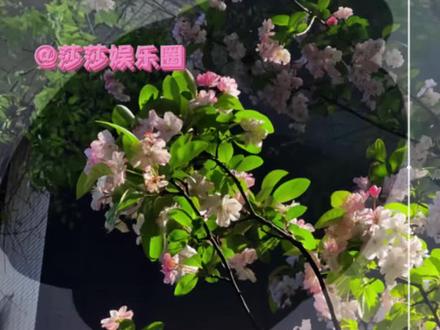 没刷到之前我简直是在乱调滤镜 !#去雾 #邪修#P图 #醒图创作者 #邪修p图