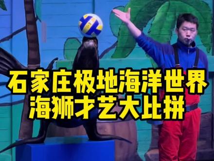 真是一家有女百家求,为了找上对象,石家庄极地海洋世界的这几只公海狮也是很拼了!#海狮表演
