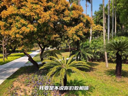 没人告诉你的大疆Pocket3隐藏用法,一台当成几台用! #大疆pocket3 #大疆pocket3使用教学 #一个人拍摄vlog #vlog拍摄指南