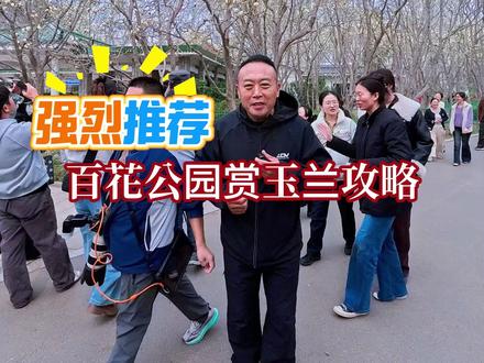 济南百花公园的玉兰花每年吸粉上万游客前来观赏 家人们!济南百花公园的玉兰正盛花期,花期只剩15 天左右,免费能进!赶紧冲!
坐公交超方便:西门坐 K37、K75、K107、K110 路,东门坐 K46、B70、K93 路,直接到门口!
公园主打一条玉兰大道,满树洁白如雪,氛围感拉满。重点提醒:免费入园,别跑空!拍照别折花踩草,文明赏春~
周末人多,建议错峰去,错过这波又要等一年!#百花公园玉兰花已开 #百花公园 #玉兰花 #人间观察计划