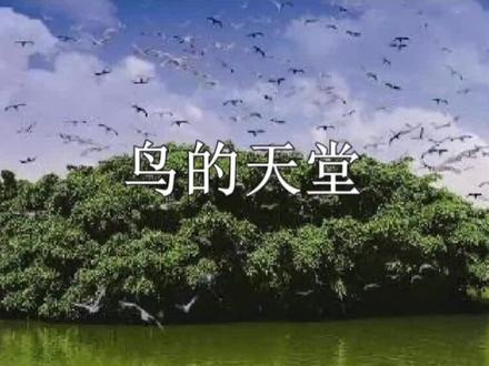 五年级上册语文《鸟的天堂》