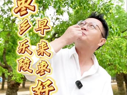 枣乡乐陵,早来枣好!#武文大舞台 #山东美好推荐官 #乐在乐陵早来枣好