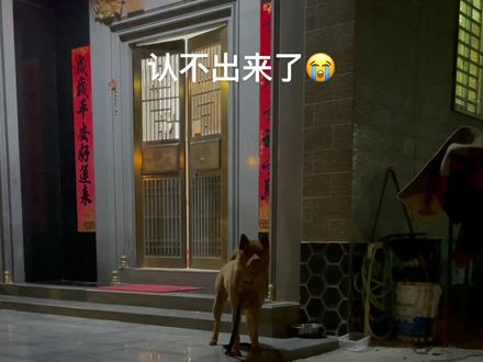 呜呜 给感动得流眼泪😭😭