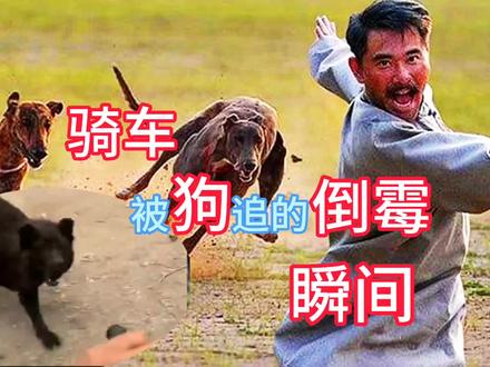 盘点: 那些骑电动车被狗狗追的倒霉瞬间 #神评论神回复 #狗狗 #倒霉瞬间