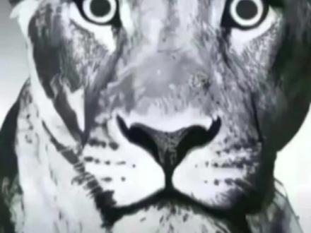 下回再遇到直接跑路算了
#热门#OPPO #拼多多