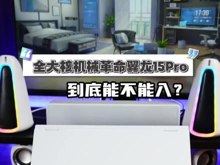 全大核机械革命翼龙15Pro到底能不能入?#买电脑选锐龙
