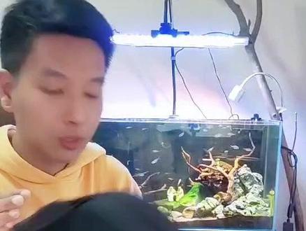 #liberlive无弦吉他 #liberlive #开箱 拨片多拨动几次,回弹就正常啦,可以放心购买~
小董今天贼可爱🎶🎶