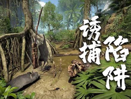 (三)绿色地狱:我做出一个陷阱,见证了一场“猪的爱情”扎心了!
