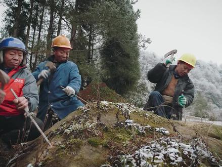 号子喊起来才有劲哟#劳动号子让你红 #山歌 #我是家乡代言人 #土家文化 #少数民族 @抖音小助手